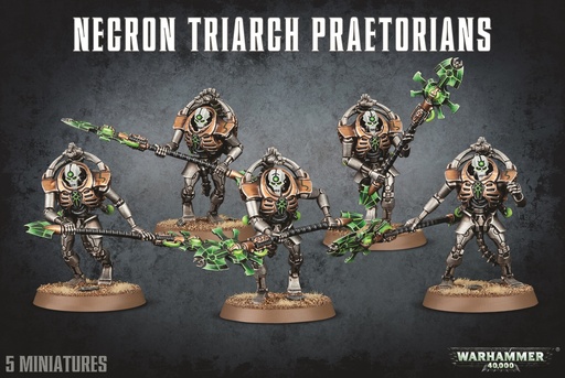 [2110000063122] Necrons: Triarchat-Prätorianer